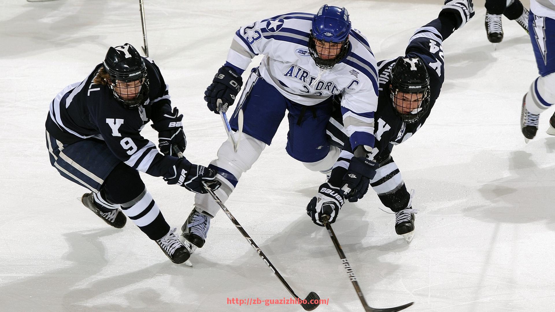 瓜子直播-火箭队阵容及虎扑体育社区讨论热点